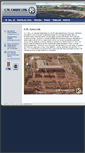Mobile Screenshot of cwcarry.com